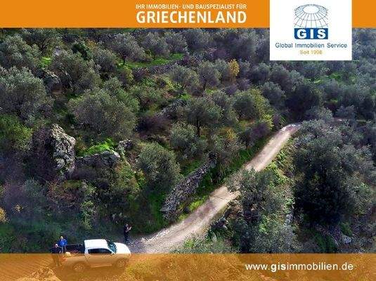 Grundstück oberhalb der Zufahrt