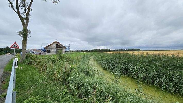 Cappeler Wasserlöse