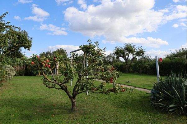 Eindrücke vom Grundstück