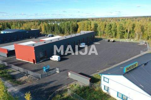 Tornio Halle, Tornio Hallenfläche