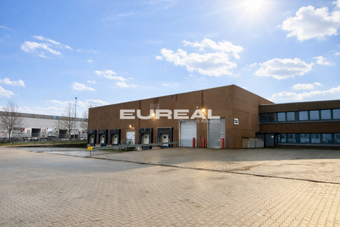 Duisburg Halle, Duisburg Hallenfläche