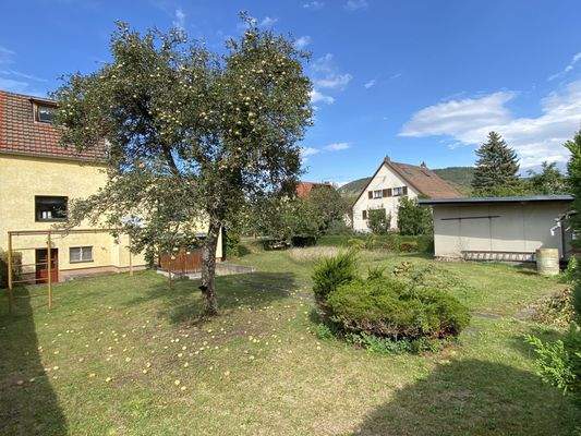 Weitläufiger Garten mit Obstbäumen