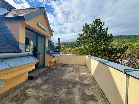 Baden Wohnungen, Baden Wohnung kaufen