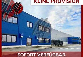 INFOS UNTER: 06171-586000