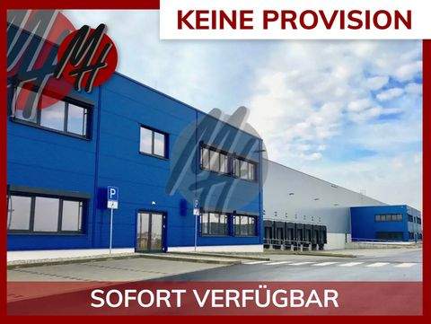 Mülheim-Kärlich Halle, Mülheim-Kärlich Hallenfläche