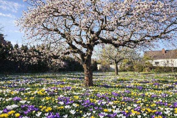 Ihr Platz zum Bauen (KI generiert)