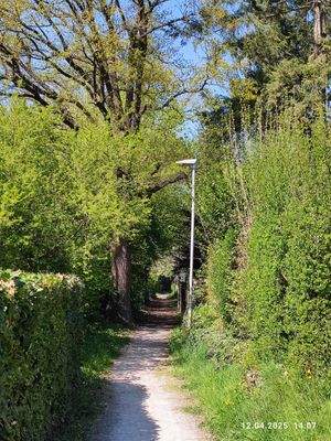 ... und auf der anderen Seite