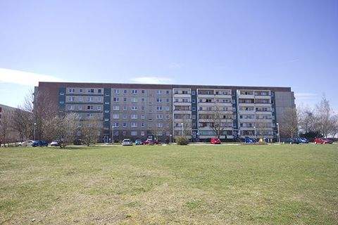 Halle (Saale) Wohnungen, Halle (Saale) Wohnung mieten