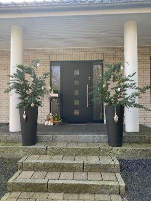 Eingangstür auch mit Fingerabdruck zu öffnen