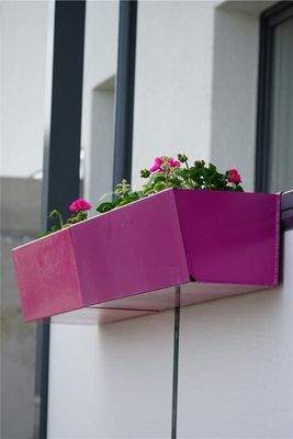 Blumenkasten frisch bepflanzt