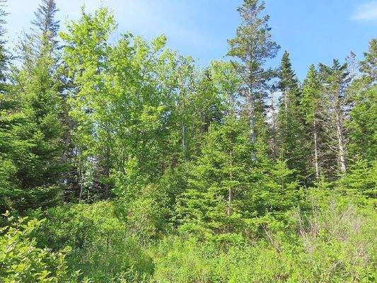 Cape Breton - Soldiers Cove - 26.790 m² großes Bau