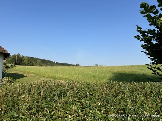 Der Blick ins Grüne - unverbaubar