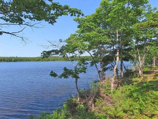 Cape Breton - Third Lake - Wunderschönes See-Uferg