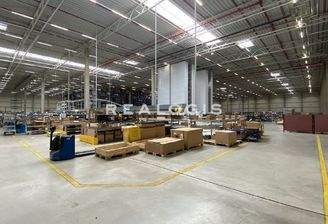 Exemplarische Ansicht