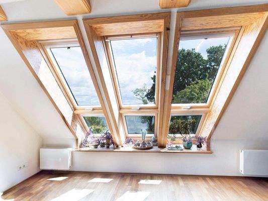 ...mit Blick auf die Schlei