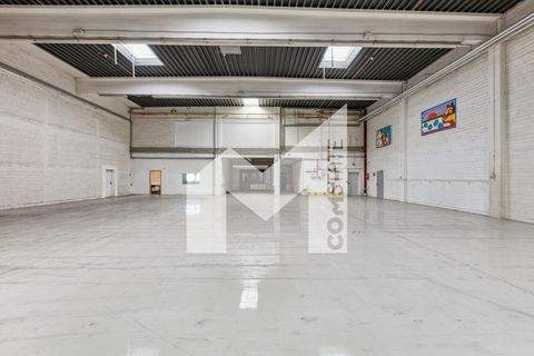 Ratingen Halle, Ratingen Hallenfläche