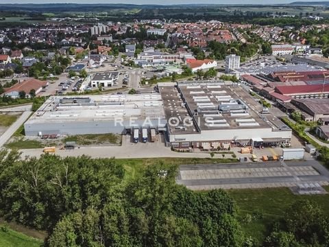 Bad Windsheim Halle, Bad Windsheim Hallenfläche