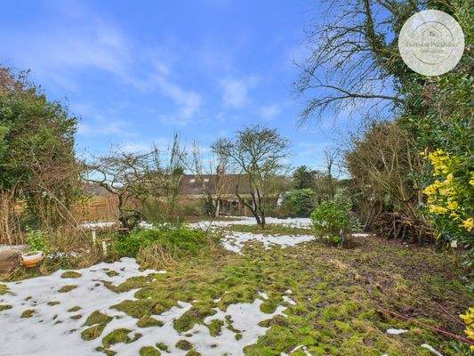 CAM03686G0-PR0304-STILL039