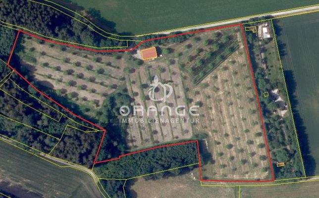 Gesamtes Grundstück