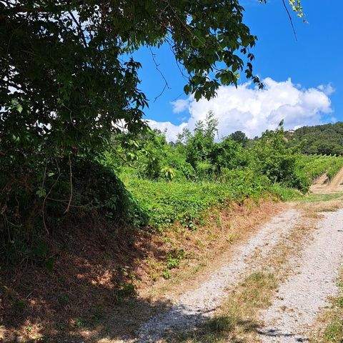 Langenzersdorf Grundstücke, Langenzersdorf Grundstück kaufen