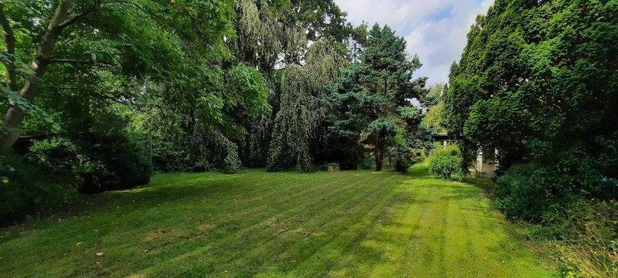weitläufiger Gartenbereich