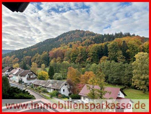 Ankommen im Nordschwarzwald!