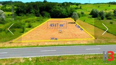 Zabok Bauernhöfe, Landwirtschaft, Zabok Forstwirtschaft