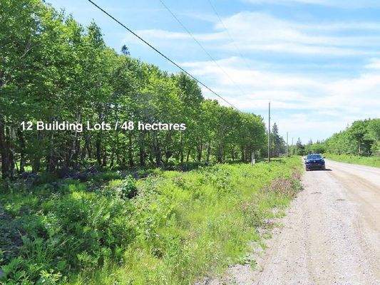 Cape Breton - Top-Investment-Gelegenheit:  Neu-Ers