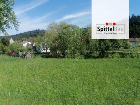 Dietingen Grundstücke, Dietingen Grundstück kaufen