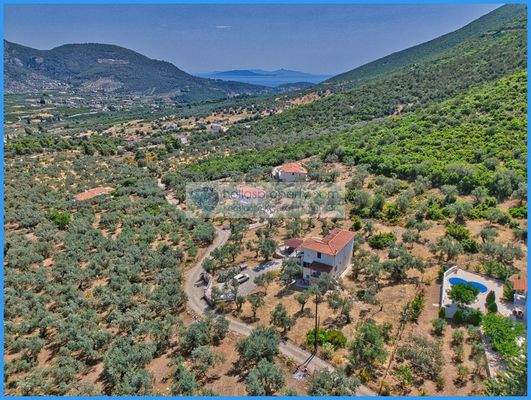 8754bba325a14e19b2aa4f7e43817a50-original