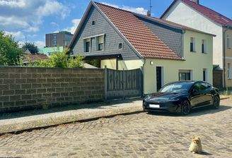 Außenansicht mit Hund