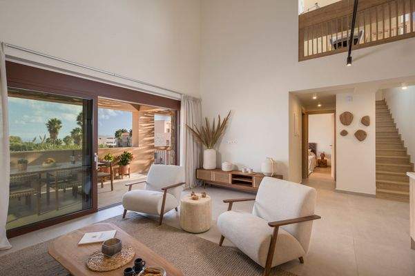 Olive Courtyard Collection