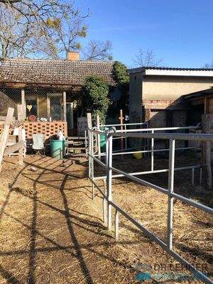 Hofseite mit Terrassenzugang