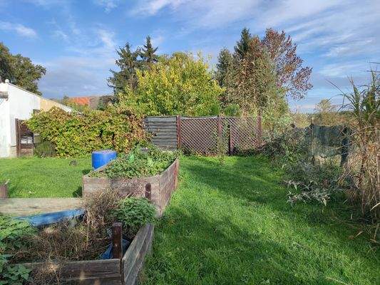 Foto 006 Maierbusch 15.jpg