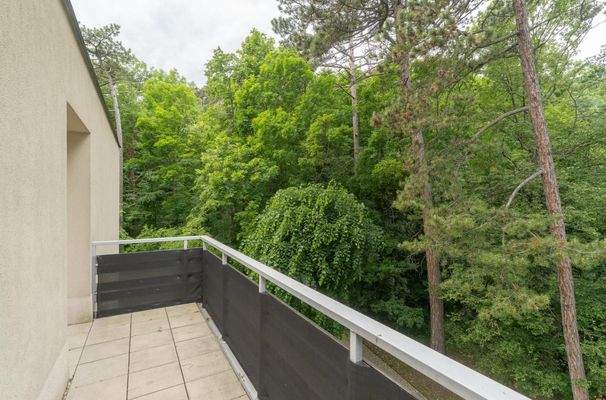 Man sieht den Wald vor lauter Bäume nicht...