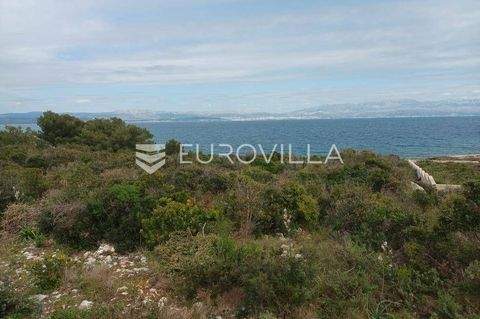 Solta Bauernhöfe, Landwirtschaft, Solta Forstwirtschaft