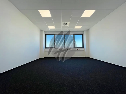 INFOS UNTER: 06171-586000