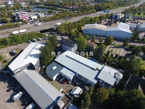 Dettingen unter Teck Halle, Dettingen unter Teck Hallenfläche