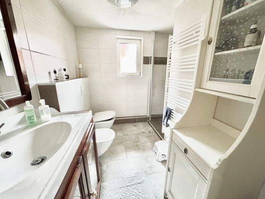 Duschbad Wohnung Dachgeschoss