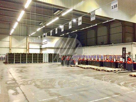 INFOS UNTER: 06171-586000