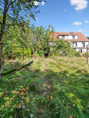 Hinteransicht DHH &amp; Garten