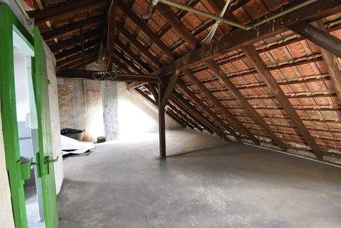 Düsseldorf Halle, Düsseldorf Hallenfläche