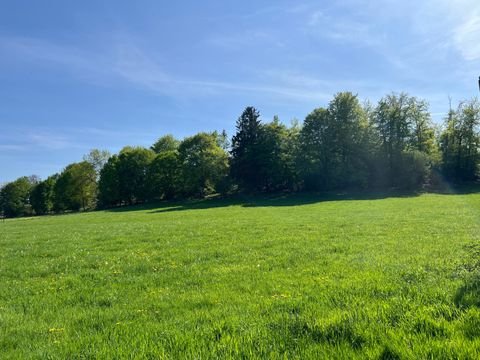 Schieder-Schwalenberg Bauernhöfe, Landwirtschaft, Schieder-Schwalenberg Forstwirtschaft