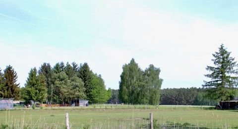 Schorfheide Grundstücke, Schorfheide Grundstück kaufen