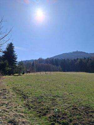 Blick auf die Lausche