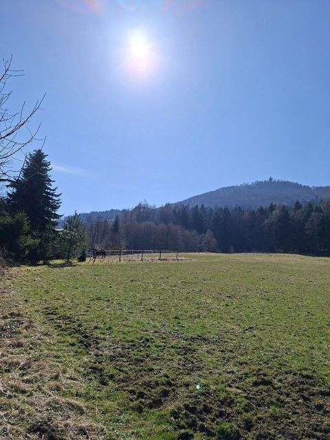 Waltersdorf Häuser, Waltersdorf Haus kaufen