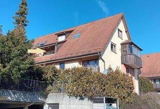 20260205_121130 - Kopie.jpg