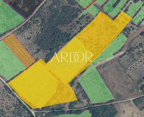 Zemunik Donji Bauernhöfe, Landwirtschaft, Zemunik Donji Forstwirtschaft