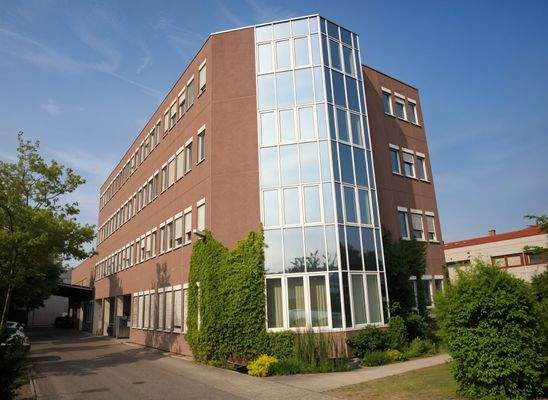 IMG_1939 - (KI generiert)