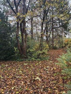 Hinterer Teil des Grundstückes Ansicht 2